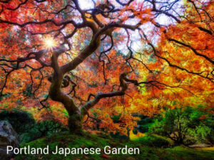 Japanese Gardens, portland, oregon